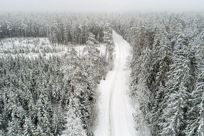 Foto - Renārs Koris