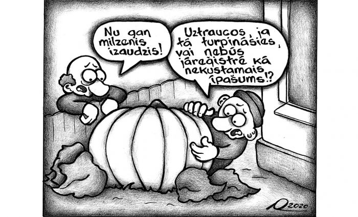 Karikatūra - Aigars Lapiņš