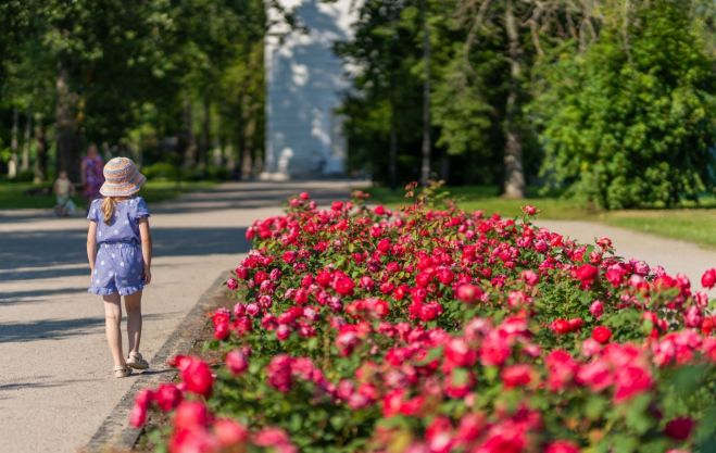 Foto - www.jurmala.lv