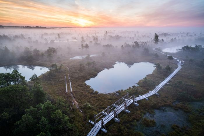 Foto - www.visitjurmala.lv