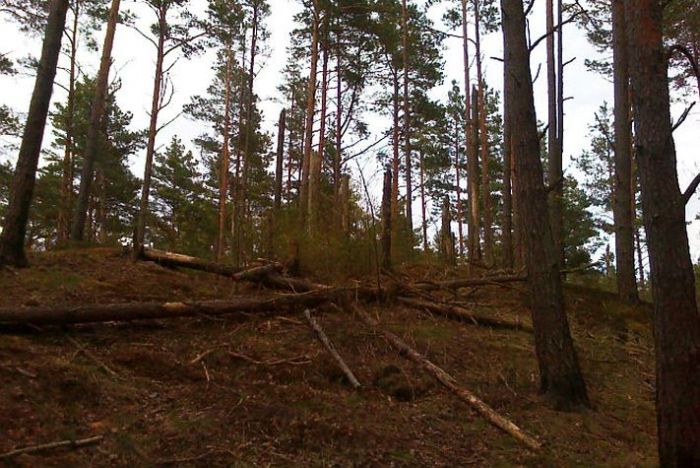 Foto - arhīvs