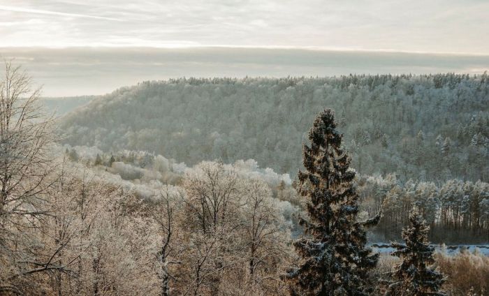 Foto - arhīvs