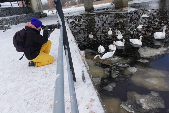 Zane dodas fotografēt putnus arī ziemā. Foto – no privātā arhīva