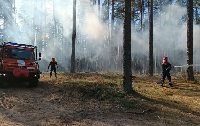 Attēls rakstam: Pērn Latvijā reģistrēts 201 meža ugunsgrēks kopumā 73,1 hektāra platībā