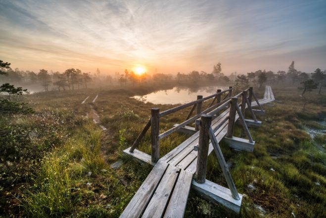 Foto - www.visitjurmala.lv