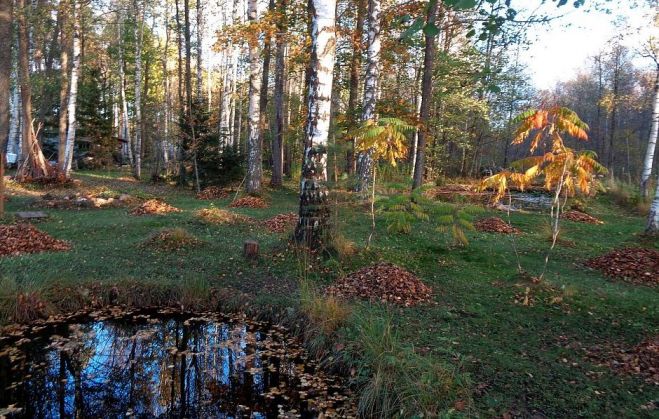 Foto - arhīvs