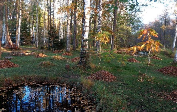Foto - arhīvs