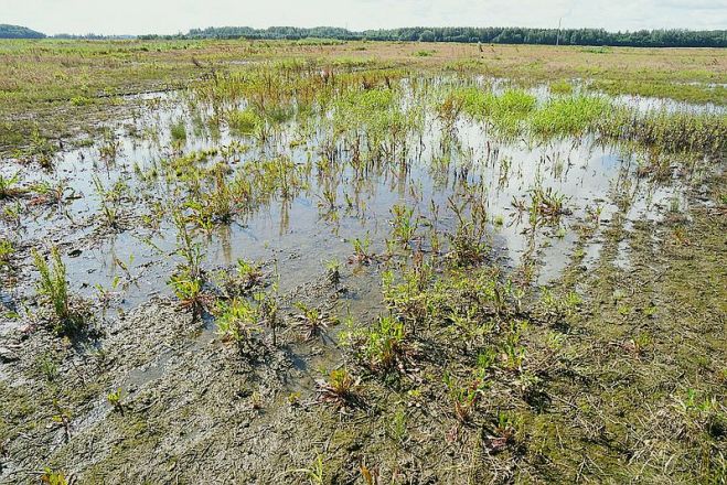 Foto - Ilmārs Znotiņš, Valsts prezidenta kanceleja