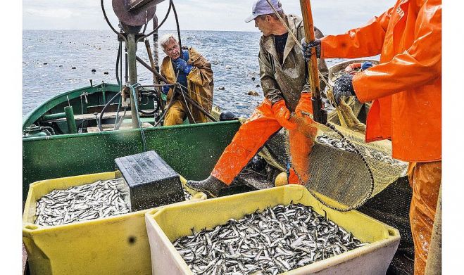 Foto - Valdis Brauns