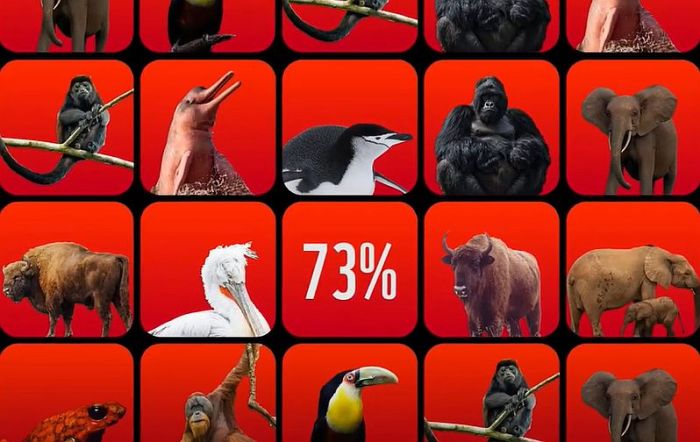 Ilustrācija - ekrānuzņēmums no youtube.com