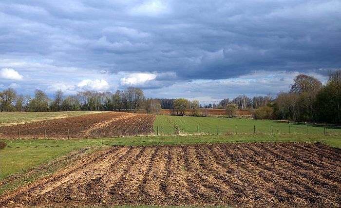 Foto - arhīvs