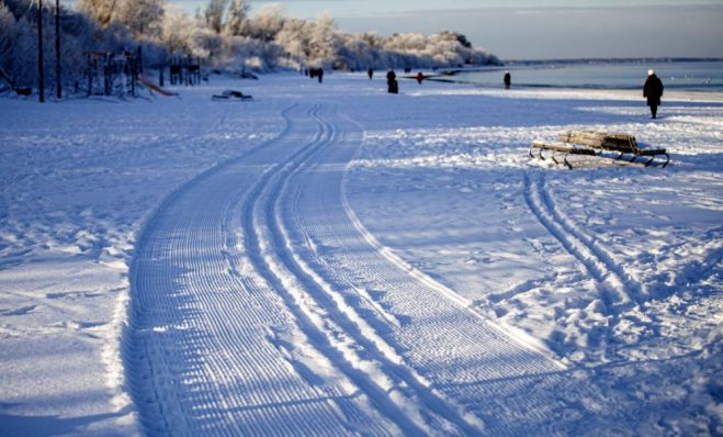 Foto - Jūrmalas pilsētas pašvaldība