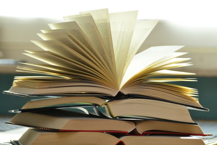 Komentārs. Kam traucē latviešu literatūra?
