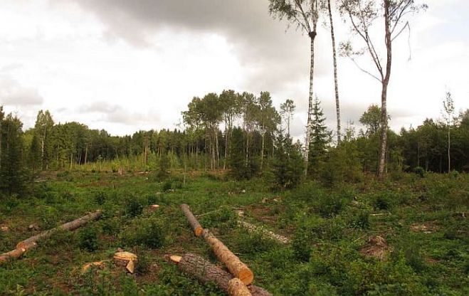 Foto - Liene Ozola un arhīvs