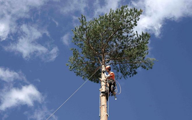 Foto - publicitātes