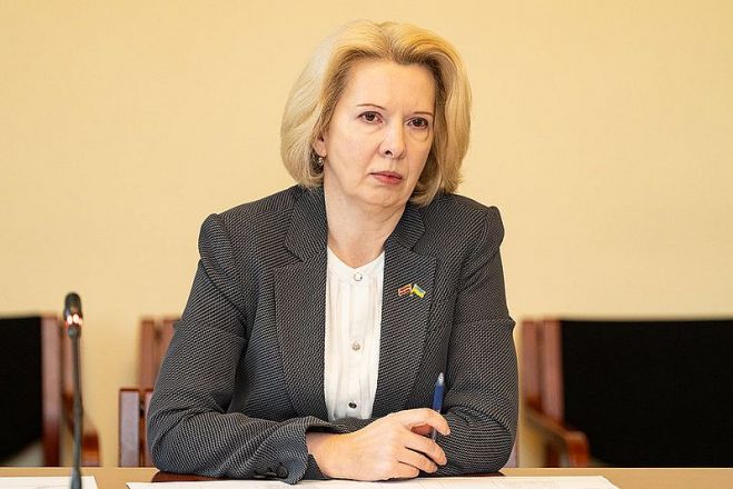 Foto - Reinis Inkēns, Saeima