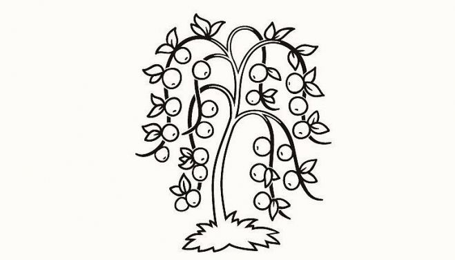 Ilustrācija - facebook.com/gramatizdeveji