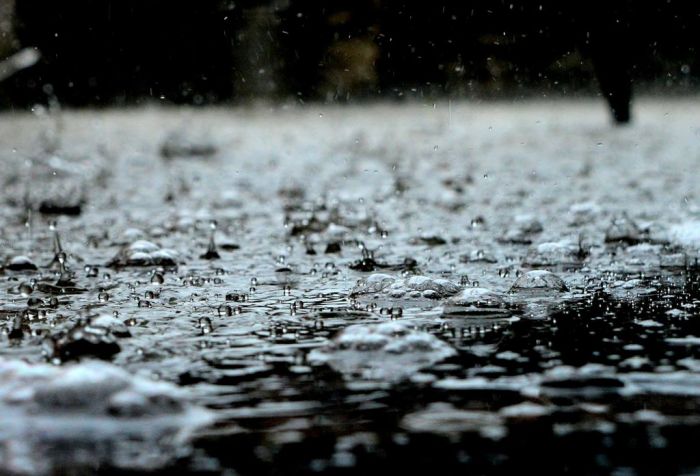 Foto: www.pexels.com