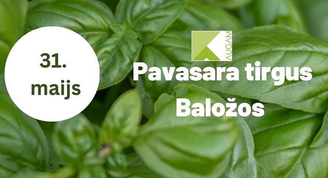 31.V Pavasara tirdziņš Baložos