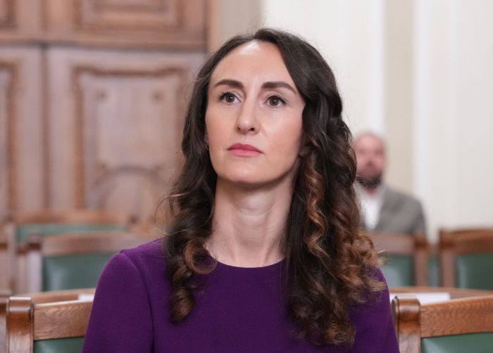 Attēls rakstam: Saeima tiesībsarga amatā apstiprina Palkovu