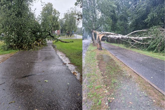 Foto - Ādažu novada pašvaldība