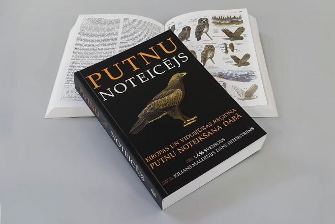Publicitātes foto