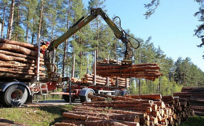 Foto - arhīvs