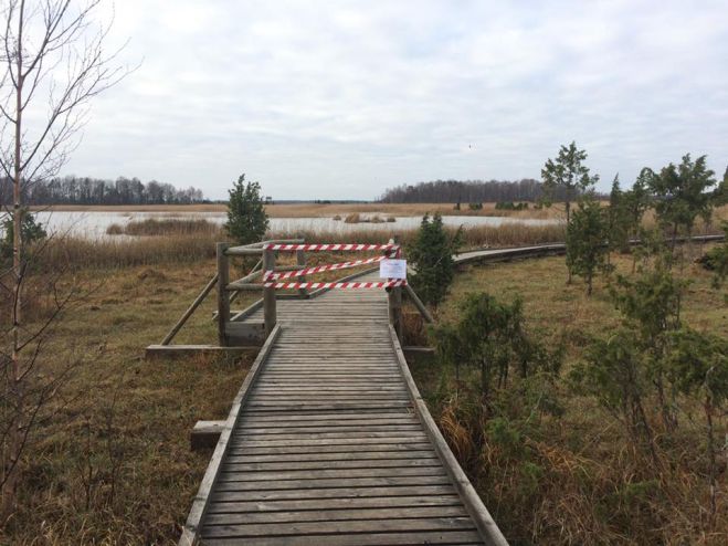 Izdemolēta populārā Kaņiera niedrāja laipa Ķemeru Nacionālajā parkā