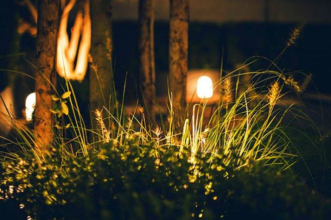 Foto - pexels.com