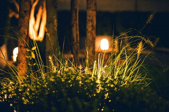 Foto - pexels.com