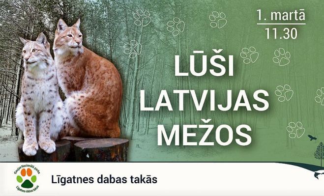Ilustrācija - DAP