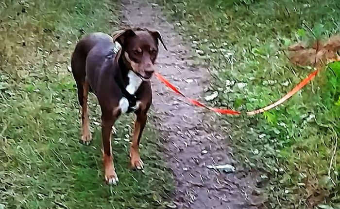 Foto - ekrānuzņēmums no beztabu.tv3.lv