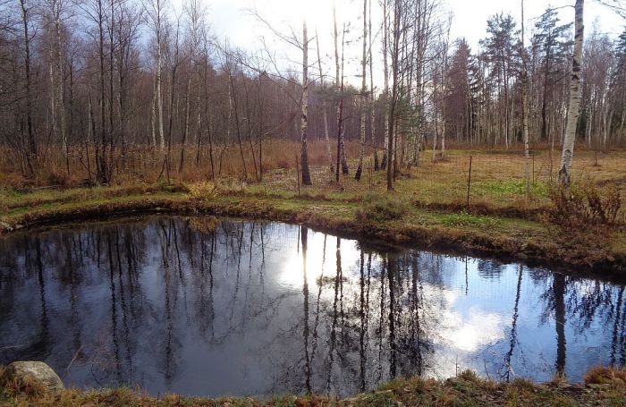 Foto - arhīvs