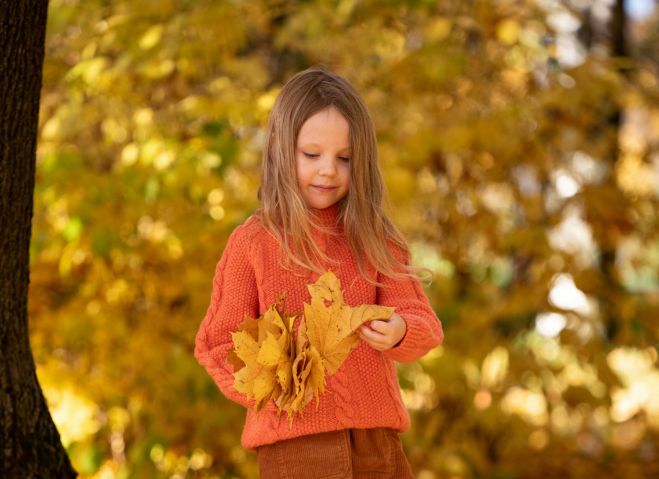 Foto - www.pexels.com