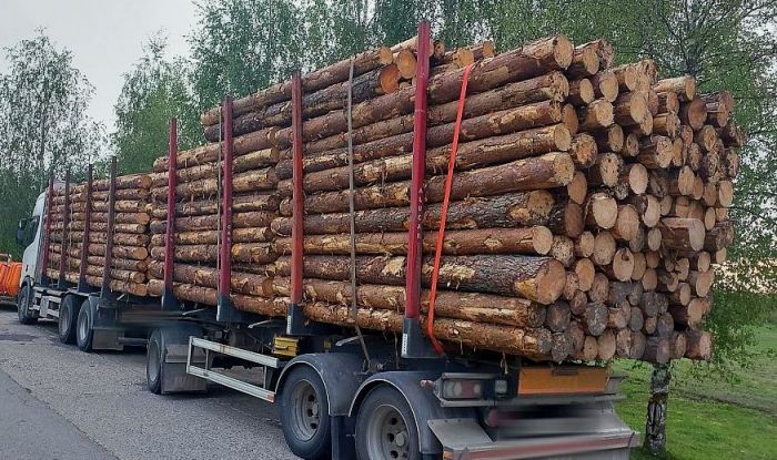 Attēls rakstam: Komisija: Valdības atbalstu saņēmušo kokrūpnieku finanšu stāvoklis nebija nestabils