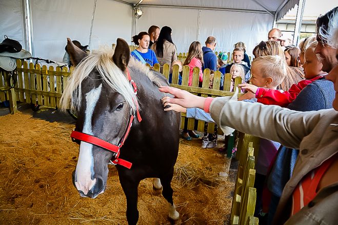 Rīgā norisināsies simtgadei veltīts pasākums &quot;Lauki ienāk pilsētā&quot;