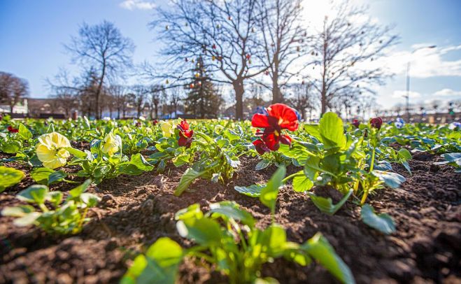 Foto - Jūrmalas pilsētas pašvaldība