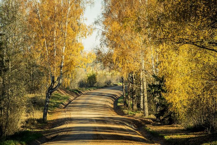 Foto - Latvijas autoceļu uzturētājs