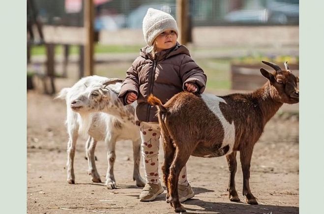 Tiešās saskarsmes mini zoo Ādažu centrā sākotnēji izveidots par Jāņa un atbalstītāju personīgajiem līdzekļiem. Vēlāk ieguvis vairākas atzinības kā vērtīgs un ģimenēm draudzīgs sociālais projekts. Pavasaros un vasarās te kopā ar vecākiem ciemojas neskaitāmi daudz bērnu un mācās mīlestību, rūpes un atbildību par dažādiem dzīvnieciņiem. Foto – no privātā arhīva