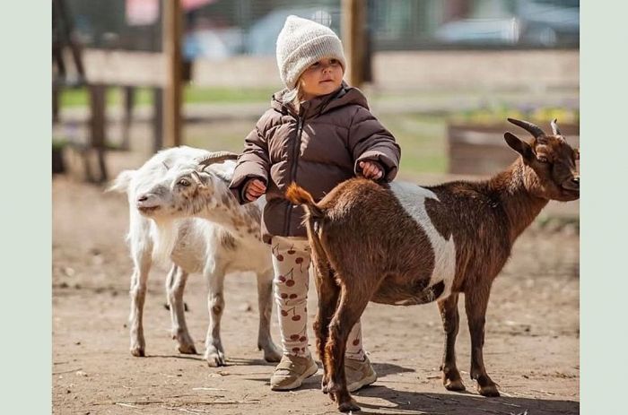 Tiešās saskarsmes mini zoo Ādažu centrā sākotnēji izveidots par Jāņa un atbalstītāju personīgajiem līdzekļiem. Vēlāk ieguvis vairākas atzinības kā vērtīgs un ģimenēm draudzīgs sociālais projekts. Pavasaros un vasarās te kopā ar vecākiem ciemojas neskaitāmi daudz bērnu un mācās mīlestību, rūpes un atbildību par dažādiem dzīvnieciņiem. Foto – no privātā arhīva