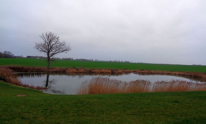 Foto - arhīvs