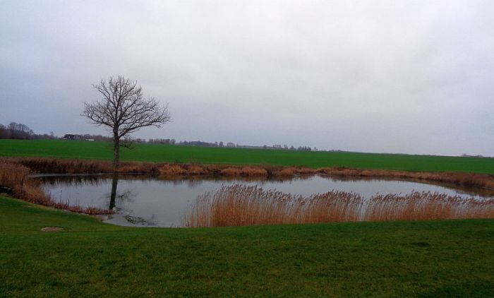 Foto - arhīvs