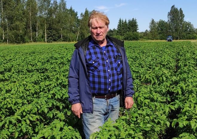 Alberts Trops savā kartupeļu laukā vērtē gaidāmo ražu. Foto – no privātā arhīva