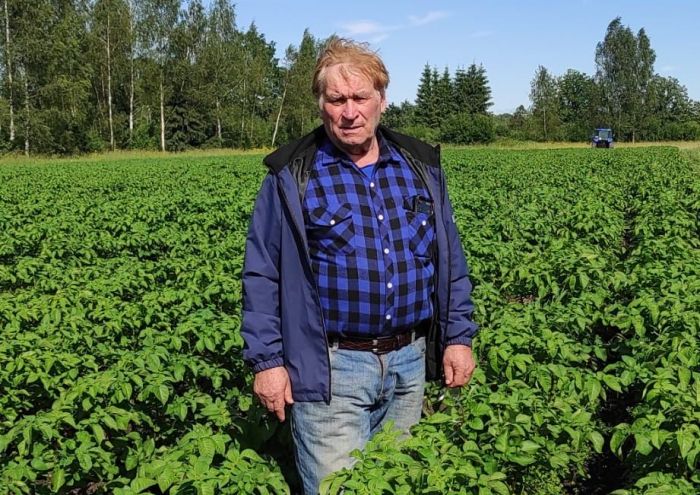 Alberts Trops savā kartupeļu laukā vērtē gaidāmo ražu. Foto – no privātā arhīva
