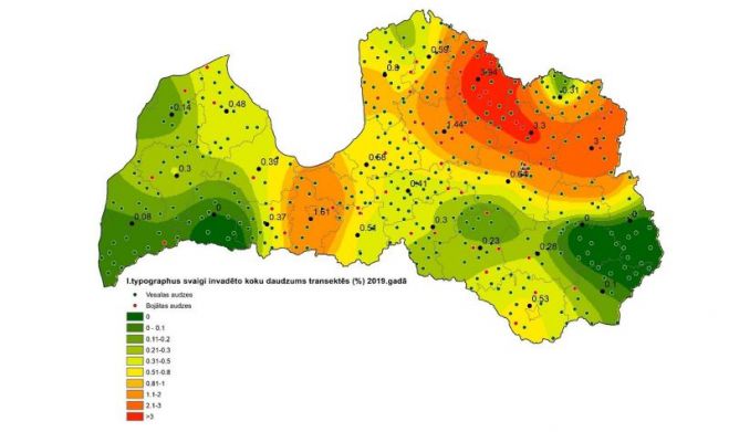 Mizgrauža izplatība 2019.gadā. Grafika - LLKC