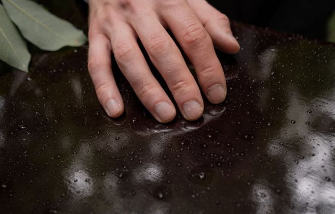 Foto - pexels.com