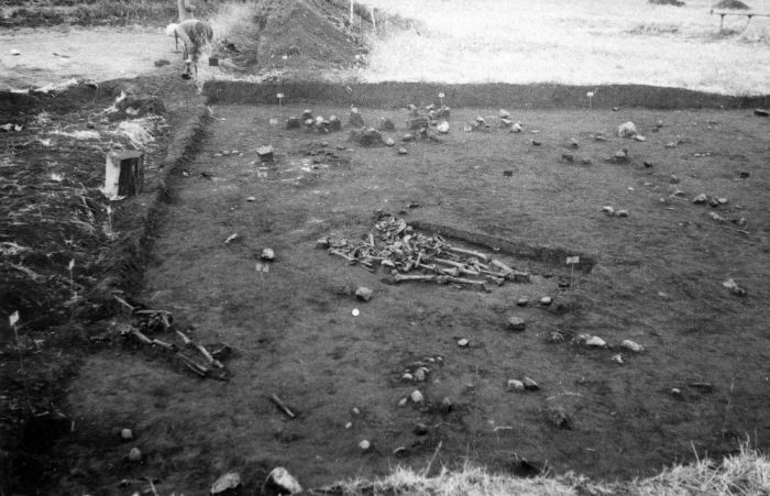 1971.gada Aboras I apmetne. Laukums F ar 50. – 52. apbedījumu grupu. Foto - I.B. Loze. Glabājas LU LVI Arheoloģisko materiālu krātuvē