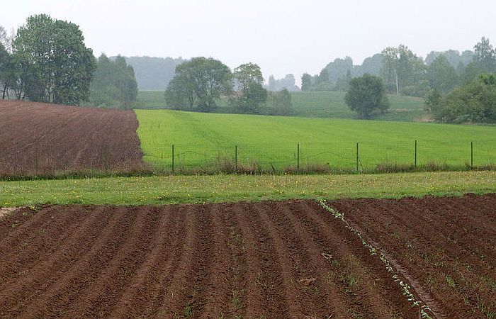 Foto - arhīvs