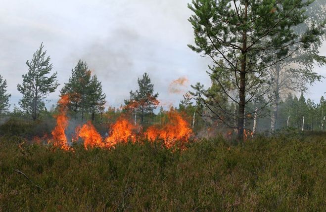 Foto - arhīvs