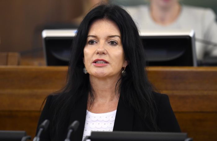 Krapānes vietā &quot;KPV LV&quot; uz labklājības ministres amatu virza Ramonu Petraviču